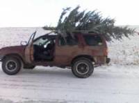 Nissan Xterra - 