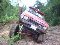 Nissan Hardbody - 