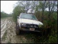 Nissan Hardbody - Stuck on a tree