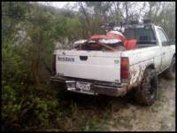 Nissan Hardbody - Stuck on a tree