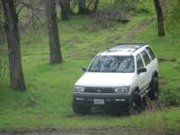 Nissan Pathfinder - in the woods