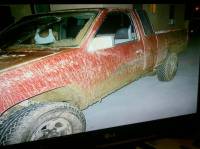 Nissan Hardbody - BATIZED