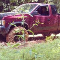 Nissan Hardbody - Playing at lunch