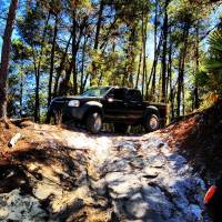 Nissan Frontier - Dustin Davis